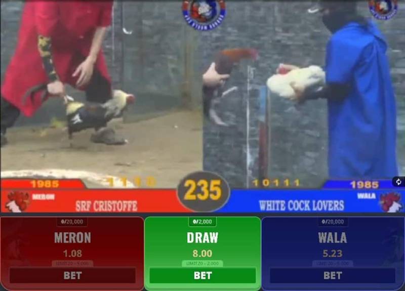 Luật Chơi Đá Gà Campuchia Chi Tiết Cho Người Mới 6 Bước 4: Đặt cược và theo dõi kết quả