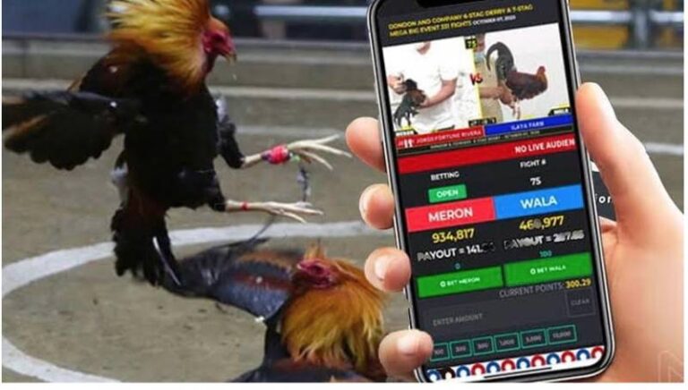 Đá Gà Online Có Bị Bắt Không? Sự Thật Không Phải Ai Cũng Biết 13 Đá Gà Online Có Bị Bắt Không? Sự Thật Không Phải Ai Cũng Biết