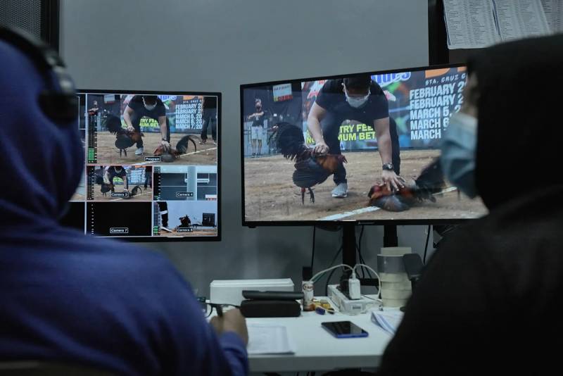 Đá Gà Online Có Bị Bắt Không? Sự Thật Không Phải Ai Cũng Biết 4 Đá gà online có bị bắt không?