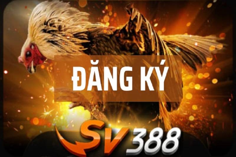 Hướng Dẫn Đăng Ký SV388 Chỉ Vài Bước Cơ Bản 1 Hướng Dẫn Đăng Ký SV388 Chỉ Vài Bước Cơ Bản