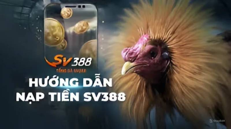 Hướng Dẫn Nạp Tiền SV388 Vào Ngay Tức Thì 1 Hướng Dẫn Nạp Tiền SV388 Vào Ngay Tức Thì